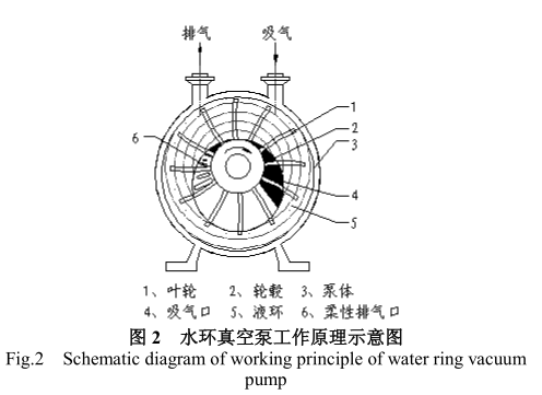 水環真空泵的原理